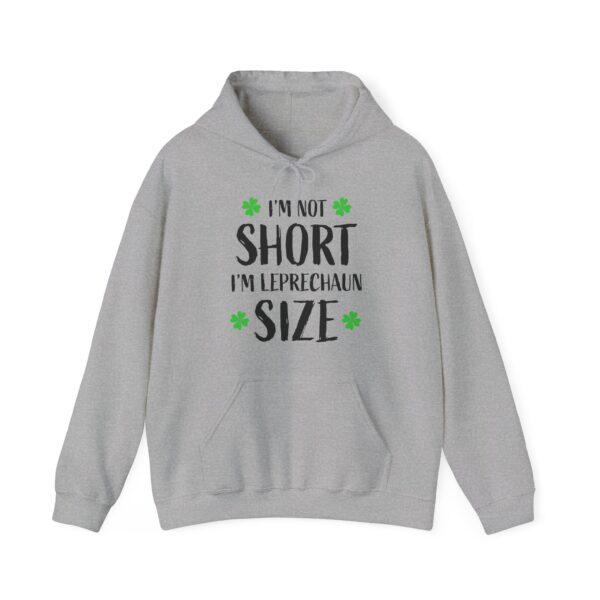 Unisex Heavy Blend™ Hooded Sweatshirt - Image 13