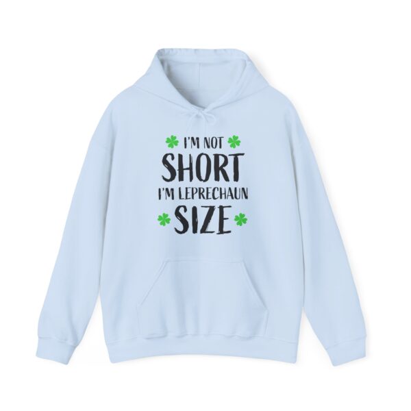 Unisex Heavy Blend™ Hooded Sweatshirt - Image 29