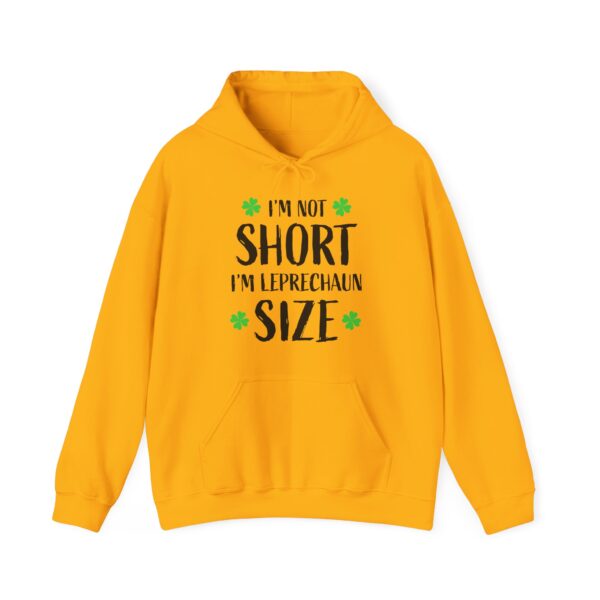 Unisex Heavy Blend™ Hooded Sweatshirt - Image 17