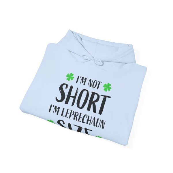 Unisex Heavy Blend™ Hooded Sweatshirt - Image 32